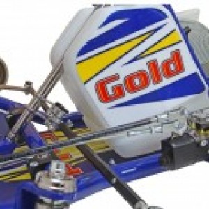 GOLD KART