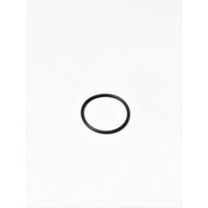 KR O-RING REMKLAUW 2021